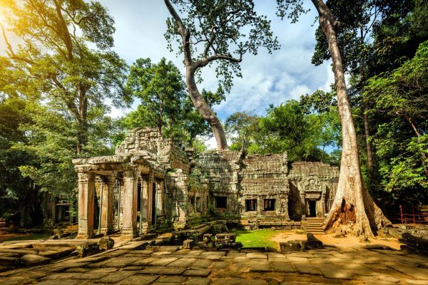 Ta Prohm, uno dei templi di Angkor