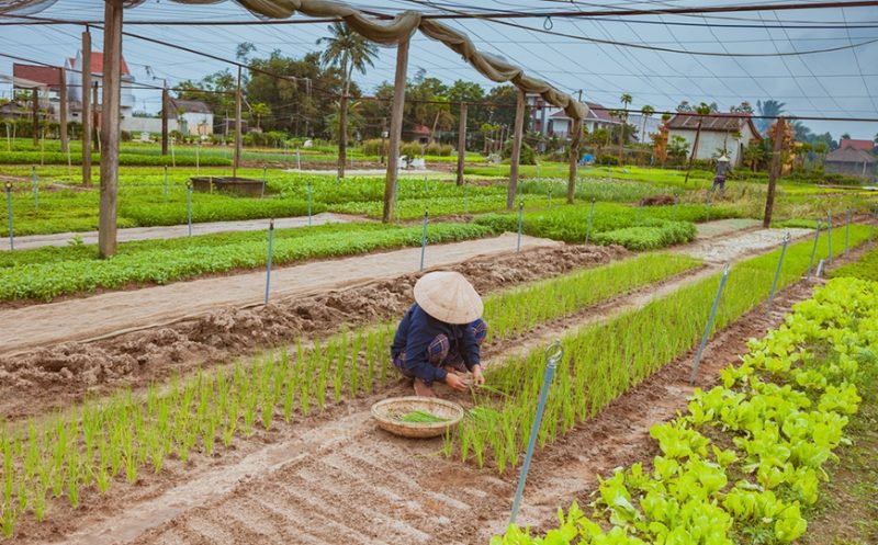 VACANZA IN VIETNAM MARE CON BAMBINI