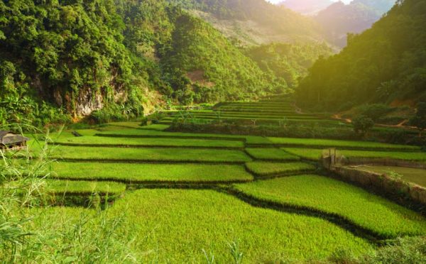 Mai Chau-Vietnam del nord