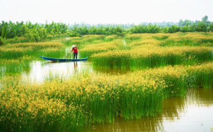 Viaggio Nella Natura M