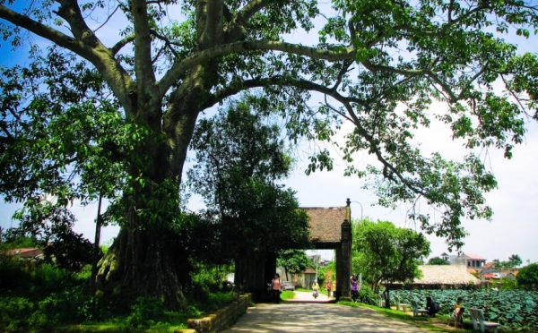 Villaggio antico di Duong Lam