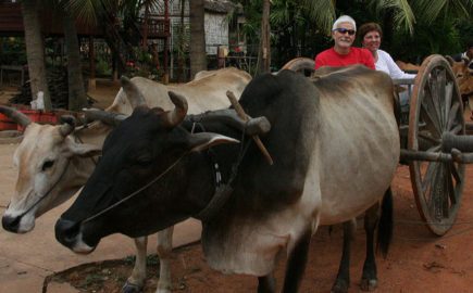 Esplorazione delle culture