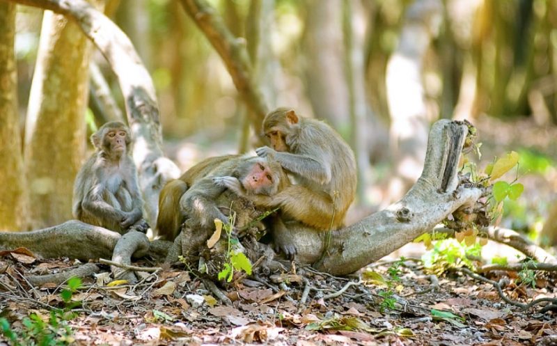 UNA SCOPERTA DA NORD A SUD PER FAMIGLIA