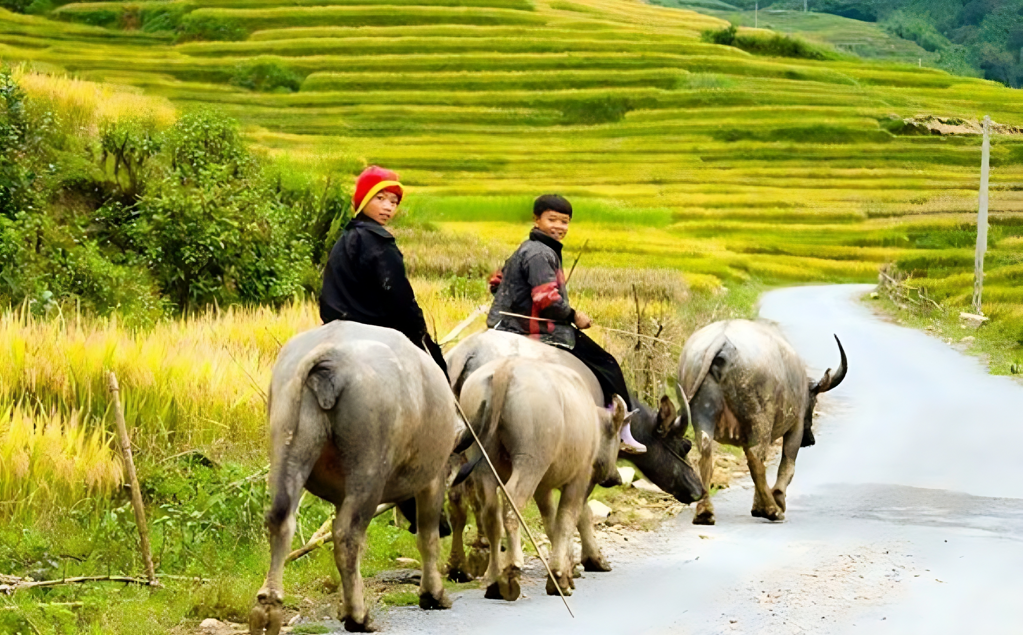 Sapatourtrekkingvietnam