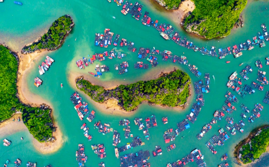Viaggio Di Lusso Al Cat Ba Vietnam