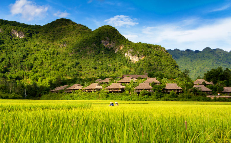 TOUR TREKKING A MAI CHAU E PU LUONG