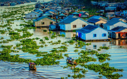 Allevamenti di pesce a Chau Doc