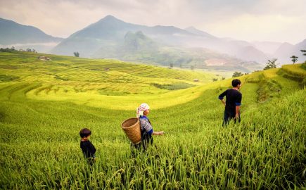 VACANZA AVVENTURA AL NORD DEL VIETNAM