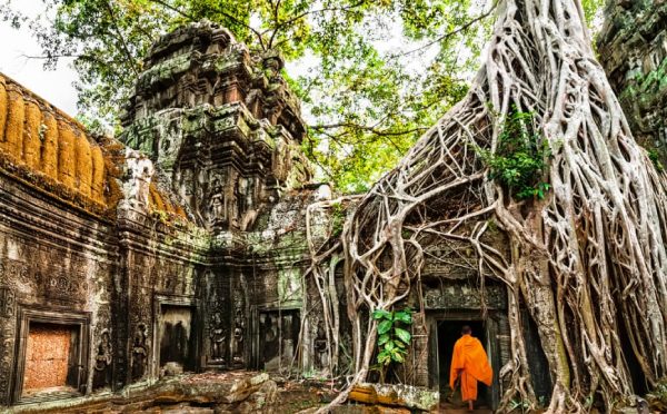 Ta Prohm, Siem Reap
