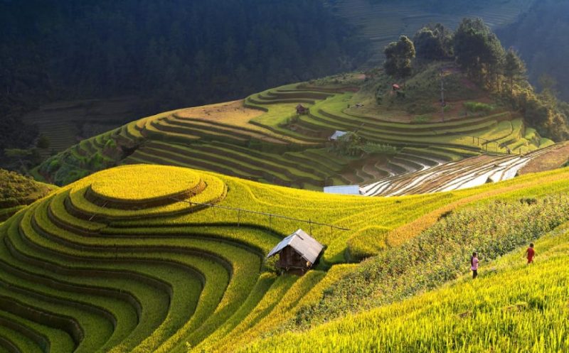 TREKKING IN VIETNAM TRA LE MONTAGNE DEL NORD