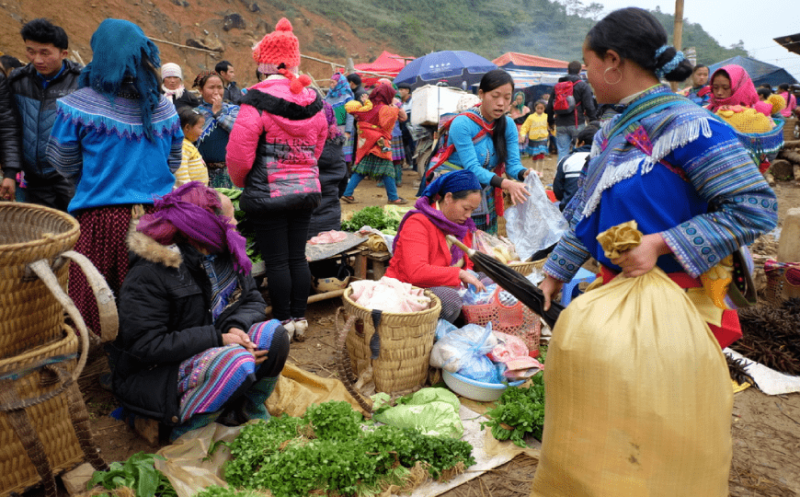 TOUR TREKKING VIETNAM DEL NORD