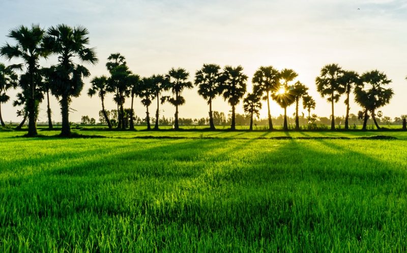 TOUR SCOPERTA DELLA SPLENDIDA INDOCINA