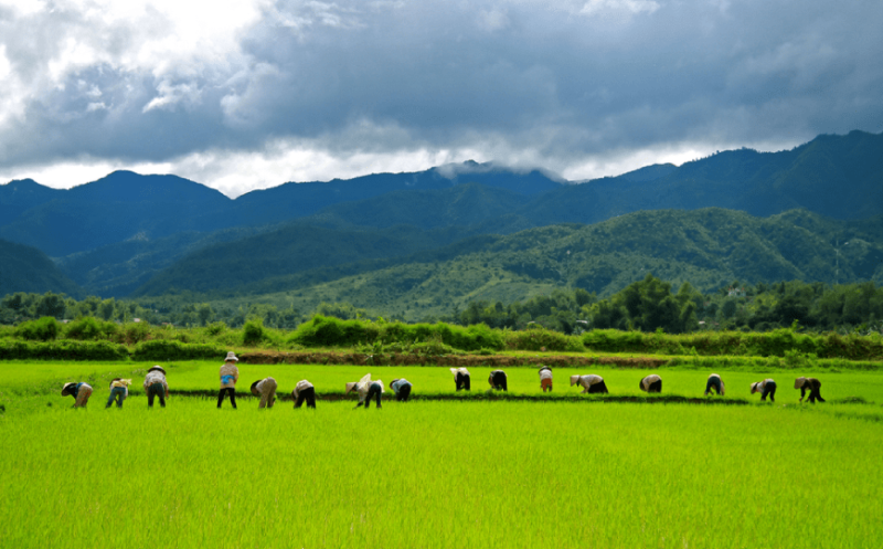TOUR TREKKING VIETNAM DEL NORD