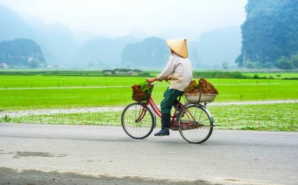 Tour Bici In Vietnam M