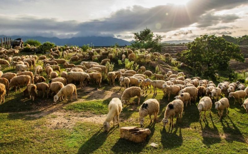 VACANZE AL MARE IN VIETNAM