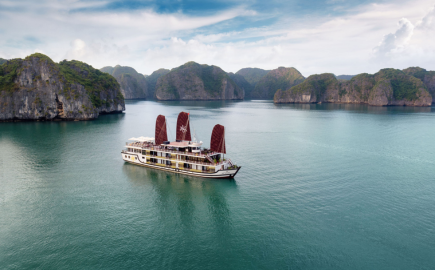 Crociera di Orchid alla baia di Halong