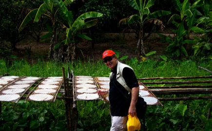 Scoperta della cultura