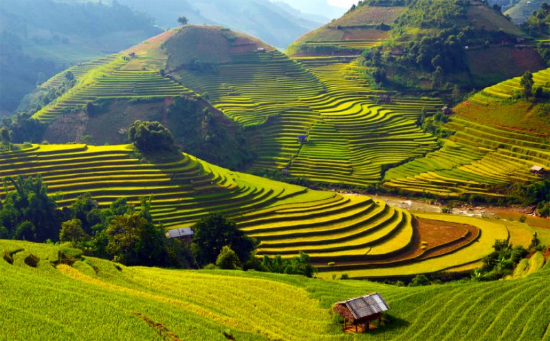 VIAGGIO TREKKING NEL NORD-OVEST DEL VIETNAM