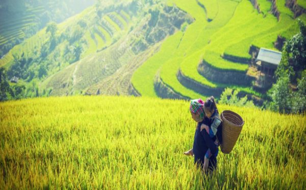 VIAGGIO TREKKING NEL NORD-OVEST DEL VIETNAM