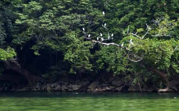 Il parco nazionale di Ba Be