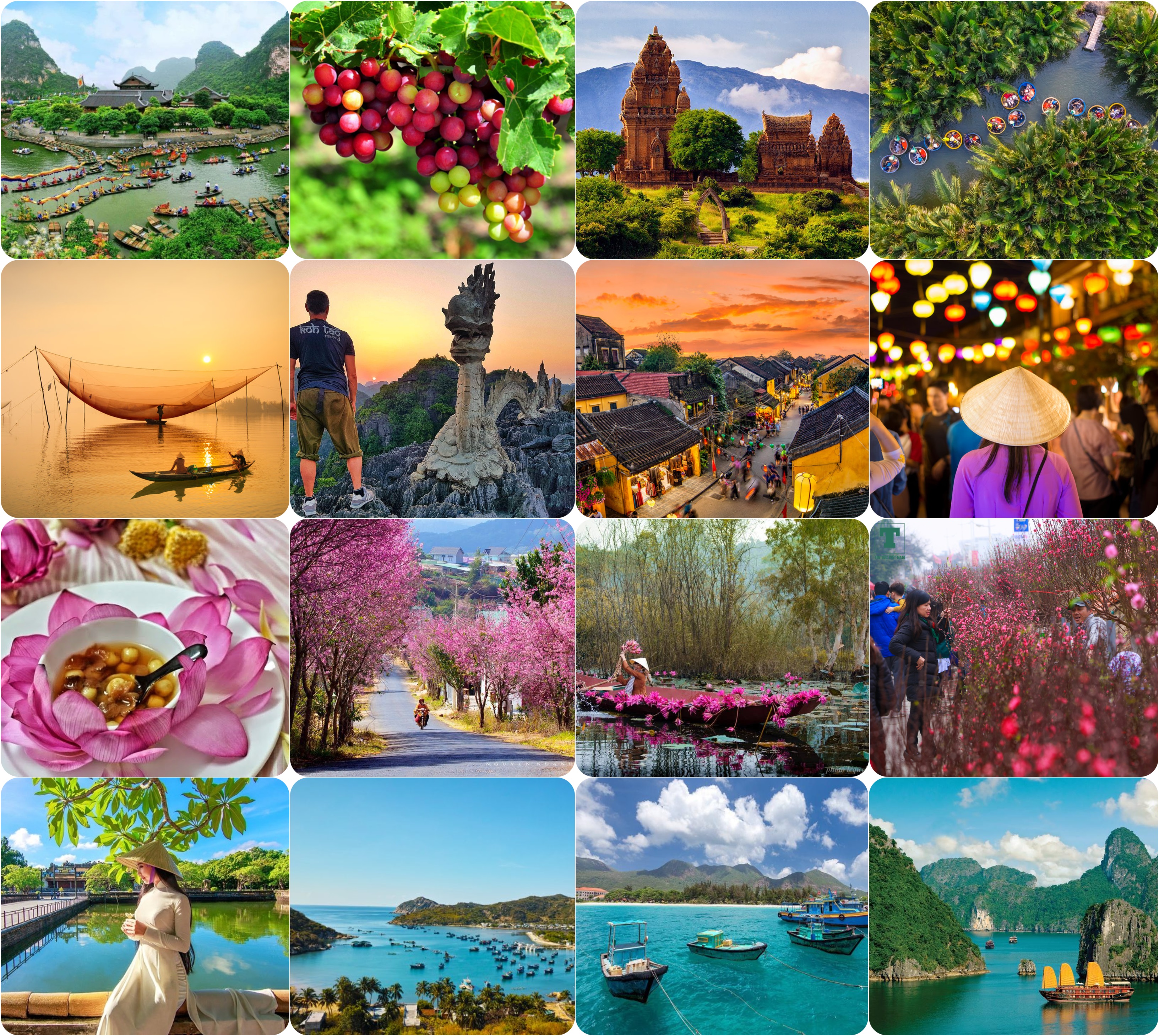 Dove Andare In Vietnam Tutto L'anno