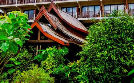 The Elephant Crossing